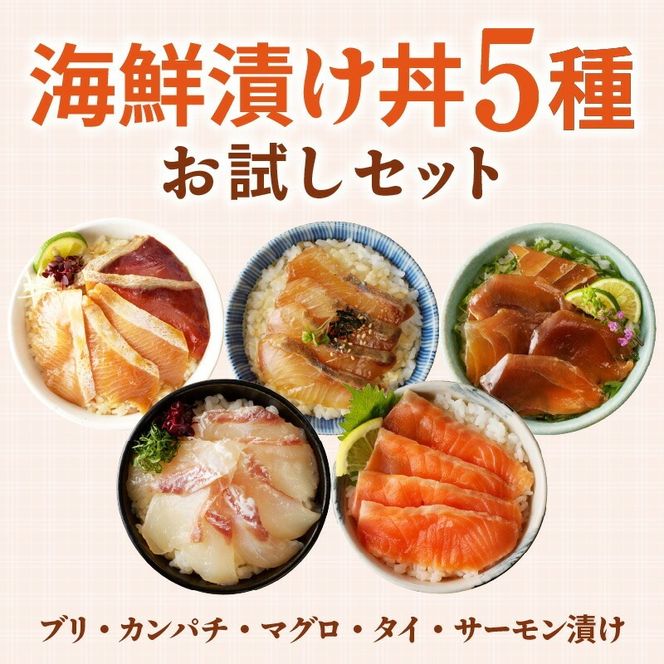 海鮮漬け丼 5種　お試しセット N019-YA192