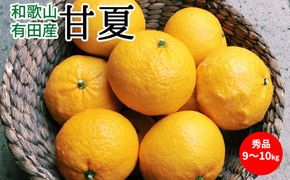 U6304_【2027年先行予約】甘夏 秀品 約9～10kg 和歌山県有田産