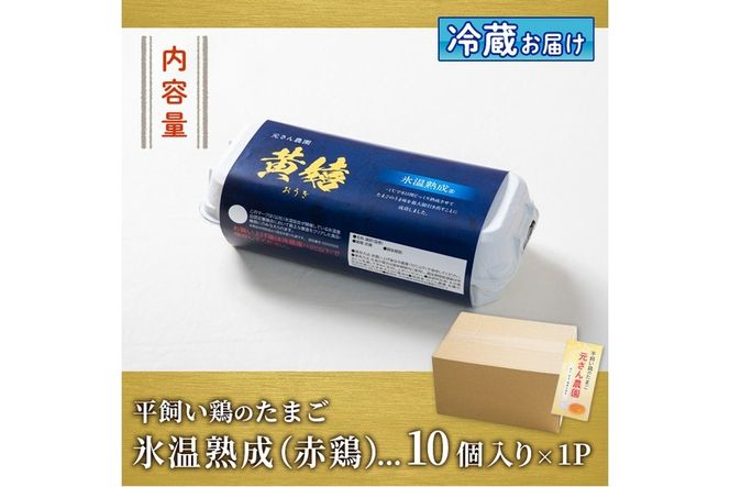 ＜氷温熟成＞平飼い赤鶏のたまご 黄嬉 (計10個) 元さん農園 卵 玉子 卵かけご飯 玉子焼き 平飼い 鶏 鶏卵 養鶏場直送 朝採れ 新鮮 大分県 佐伯市 【GE007】【 (株)海九】