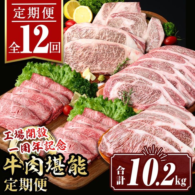 isa651 【定期便12回】工場開設一周年記念 牛肉堪能定期便(合計10.2kg) 黒毛和牛 リブロース サーロイン ステーキ スライス 大判 焼肉 牛 うし 牛肉 すきやき しゃぶしゃぶ 牛しゃぶ ロース アウトドア 食べ比べ BBQ 冷凍 【サンキョーミート株式会社】