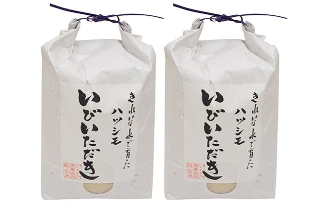 ＪＡいび川プレミアム米「いびいただき」/白米10kg お米 