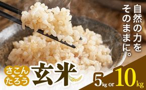 玄米 5kg 10kg さこんたろう《90日以内に発送予定(土日祝除く)》熊本県 御船町 コメ おこめ ごはん 熊本県産---mifune_skt_2_5kg---