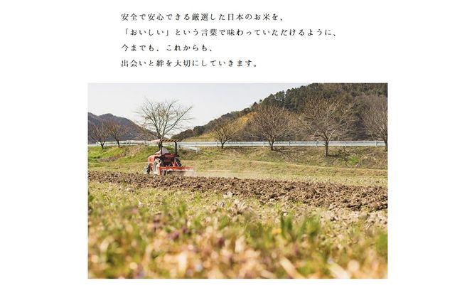 【７営業日以内発送】【無洗米】兵庫県産 複数原料米 5kg 令和７年産 【城口商店】ブレンド米 米 お米 5kg 米5kg 兵庫県産 令和7年産 R7年産 2025年産