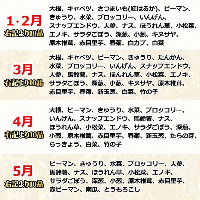 【0123608a】自慢の農家×老舗青果店の新鮮でおいしい野菜・おまかせ便(10品) 野菜 セット 詰め合わせ 詰合せ 旬 お野菜【有留青果】