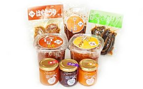 裳掛のおいしい手づくりみそ・漬物・ジャム等8点セット 発酵食品 味噌