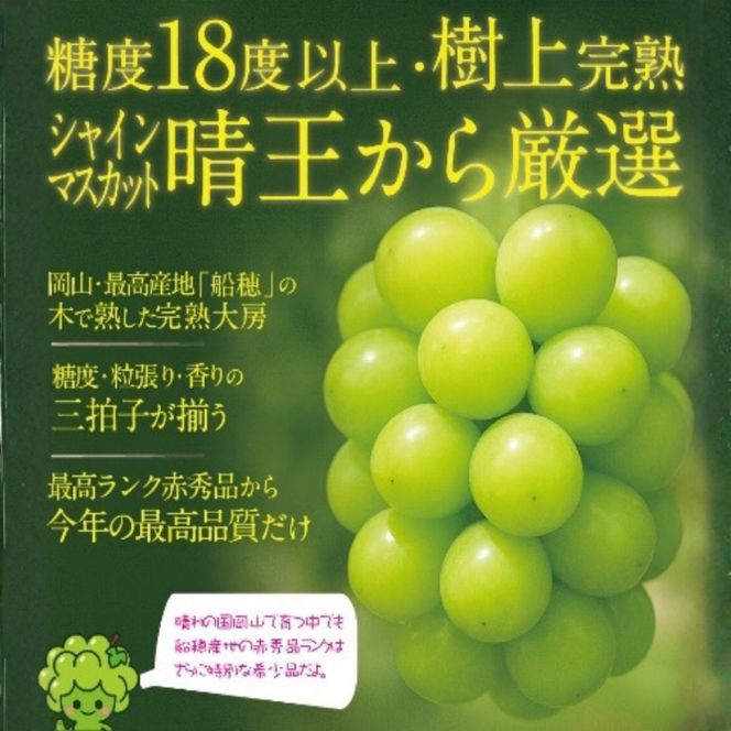 【先行予約】木熟ぶどう ハレノシャイン シャインマスカット プレミアム 晴王 2房 (1.6kg以上) | シャインマスカット 晴王 ハレノシャイン 木熟ぶどう プレミアム 800g以上 1房 岡山県産 ぶどう 葡萄 大房 高糖度 甘い 種なし 皮ごと食べられる フルーツ 果物 人気 産地直送