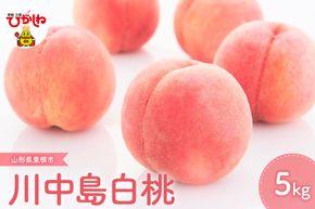 【2026年産 先行予約】2026年もも「川中島白桃」5kg JA提供 hi003-154