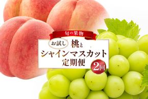 フルーツ 定期便 2回 山梨 旬な果物 お試しセット 桃 1.1kg(3〜5玉) シャインマスカット 600g(1房) [斎庵 山梨県 韮崎市 20743913] フルーツ定期便 果物 くだもの 定期 マスカット シャイン 葡萄 ぶどう ブドウ もも momo