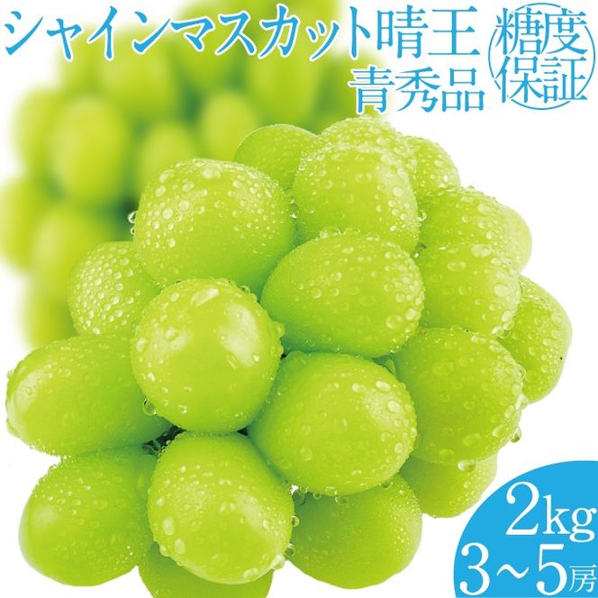 2026年 先行予約受付中 シャインマスカット晴王 約2kg(3～5房) 岡山県産 種無し 皮ごと食べる みずみずしい 甘い フレッシュ 瀬戸内 晴れの国 おかやま 果物大国 ハレノフルーツ [№5735-2161]