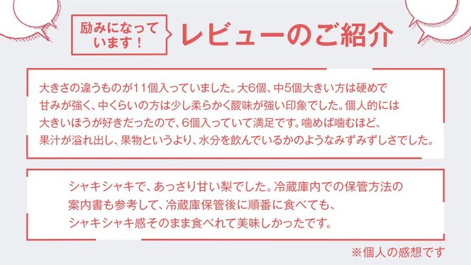 梨 新高 約 10kg 【2026年10月より発送開始】（茨城県共通返礼品 [梨]：大子町産）田舎の頑固おやじが厳選！ なし 新高梨 和梨 フルーツ 果物 くだもの 高糖度 ギフト 茨城 [BI307-NT]