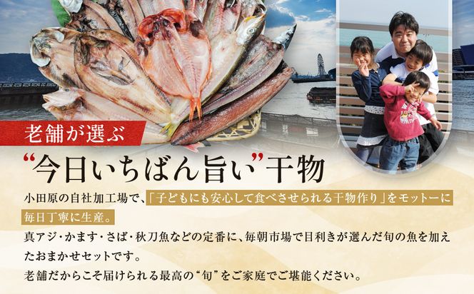 【国産】おまかせ干物セット 竹コース【お取り寄せ 海鮮 グルメ ギフト プレゼント 産地直送 産直 魚 手作り ひもの 詰め合わせ お中元 お歳暮 父の日 母の日 誕生日 自宅用 贈答品 贈答用 朝食 バーベキュー 神奈川県 小田原市】 142069_AM001