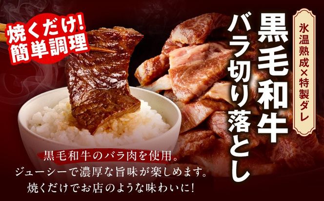 mrzZ027 焼肉 福袋 4種セット 定期便 2kg×3回【氷温熟成×特製ダレ 食べ比べ 小分け 500g 牛肉 牛タン ヒレ ハラミ バラ 数量限定 毎月配送コース】