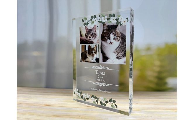 思い出の写真をアクリル素材に！アクリルスタンド 272183_CJ03