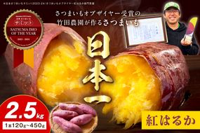 【先行予約】さつまいもオブザイヤー紅はるか部門全国1位 京都・ 丹後産　さつまいも 紅はるか　土付き（1本120〜450g程度）2.5kg　TF00067