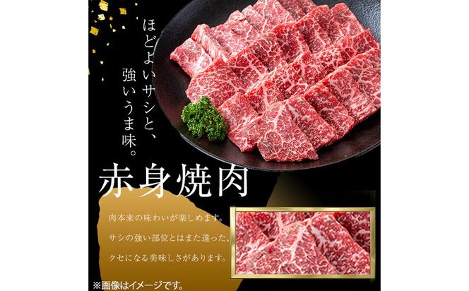 ＜A4・A5等級＞鹿児島県産黒毛和牛 うしの中山 赤身焼肉用 計1kg(500g×2P) c8-034