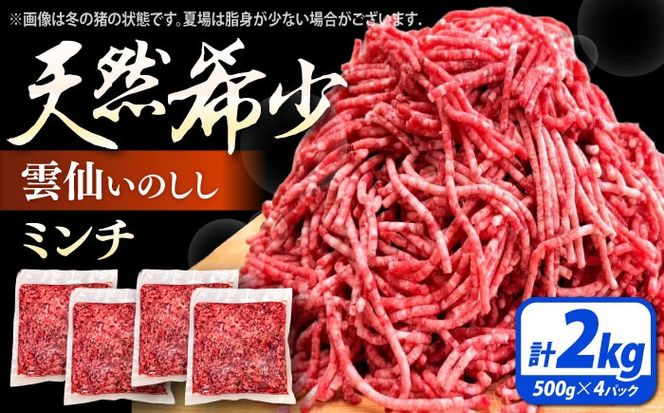 猪肉 ミンチ 2kg 雲仙いのしし / ひき肉 肉 イノシシ ジビエ いのしし ハンバーグ / 南島原市 / もりのめぐみ[SDB013]