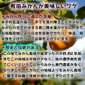 BD6035n_【2026年先行予約】高糖度 有田みかん 特秀品 5kg 小玉 (S～Mサイズおまかせ)