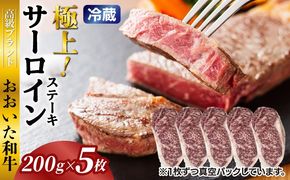 冷蔵発送/おおいた和牛サーロインステーキ1kg_1792R-5