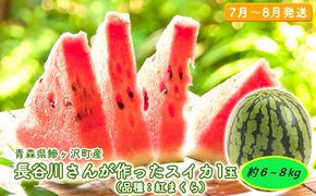 【先行予約2026年産】長谷川さんが作ったスイカ 1玉 約6～8kg（品種：紅まくら）7月～8月発送　青森県鰺ヶ沢町産 果物類 7～8kg 