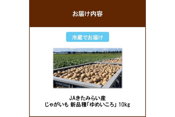 【予約：2026年12月～2027年1月発送】JAきたみらい産 じゃがいも 新品種「ゆめいころ」 10kg 冷蔵 ( じゃがいも いも 芋 JA 北海道産 )【236-0002】