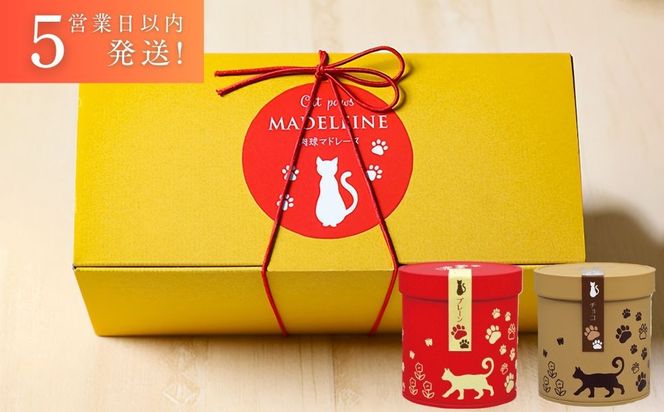 【吟匠庵】にくきゅう マドレーヌ 4個入り 2缶セット プレーン チョコ｜京都 スイーツブランド 人気スイーツ 可愛い [ 猫 肉球 可愛い おしゃれ 猫スイーツ マドレーヌ ねこ ギフト ねこ箱 おいしい グルメ 人気 おすすめ お菓子 焼き菓子 ギフト プレゼント お取り寄せ 通販 送料無料 ふるさと納税 ] 261009_B-XY09