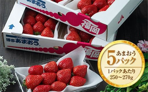 福岡産あまおう春5パック　 ※2025年2月上旬から2025年3月下旬に順次発送予定　AX004