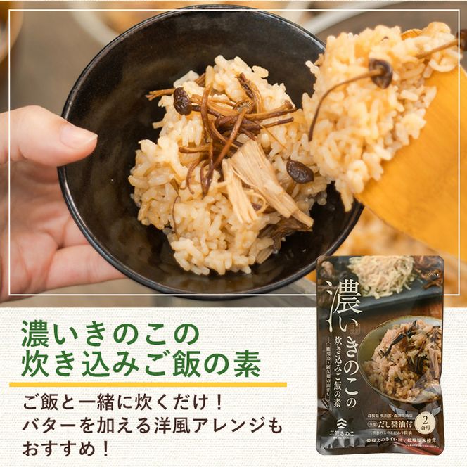 国産のえのきやきのこ使用！濃いきのこの炊き込みご飯の素(2合用×10袋) 国産 だし醤油 きのこご飯 椎茸 しいたけ 【三笠えのき茸生産組合】akn010-17