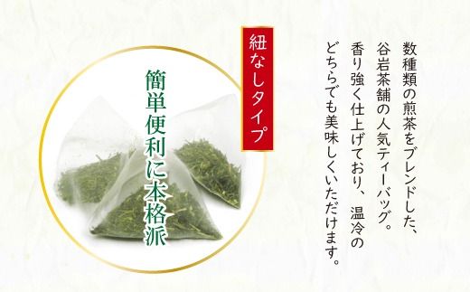 茶 特撰 みやざき 煎茶 ティーバッグ 5g×20個入 計2袋 [谷岩茶舗 宮崎県 日向市 452061615] お茶 日本茶 新茶 簡易包装 一番茶 新茶