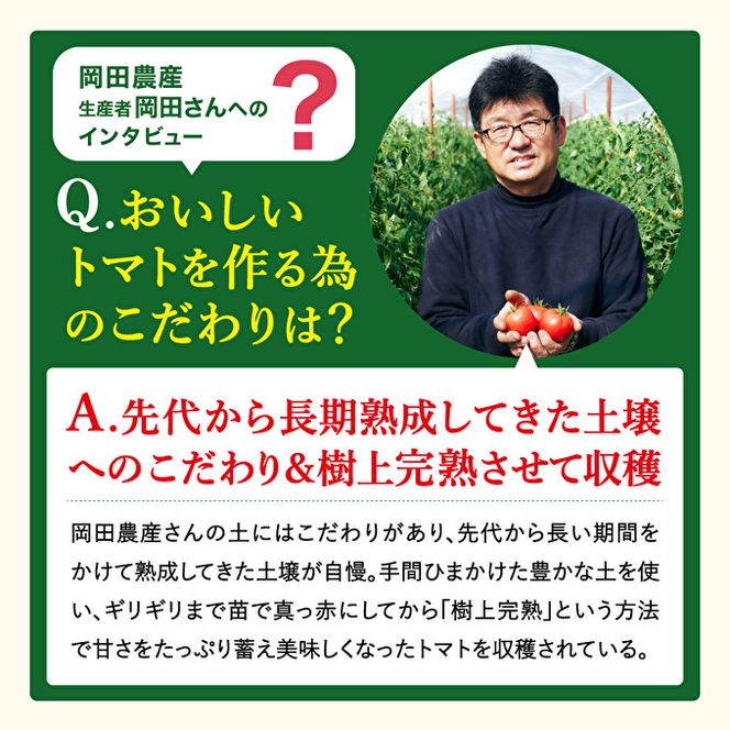 トマト 500g トマトの一番星 野菜 とまと 完熟 高糖度 甘い 受賞 冷蔵配送