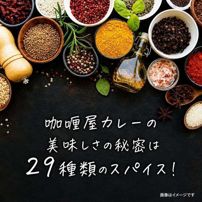 レトルト カリー屋ハヤシ 180g×20食 ハウス食品 レトルト食品 ハヤシライス カリー屋カレー レトルトカレー 保存食 非常食 防災食 常温 常温保存 レンジ 惣菜 加工食品 災害 備蓄 静岡 