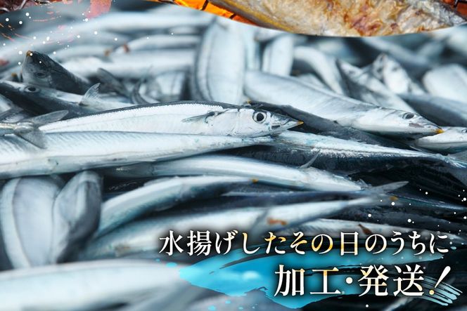 【期間限定発送】生 さんま 8尾 大サイズ [阿部長商店 宮城県 気仙沼市 20566343] 魚 サンマ 秋刀魚 生鮮 鮮魚 季節限定
