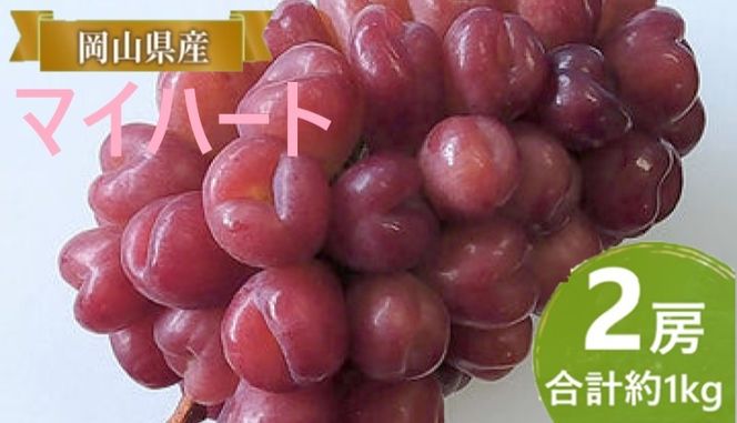 ぶどう 【2026年 早期受付】 マイハート 2房 合計約1kg ブドウ 葡萄 岡山県産 国産 フルーツ 果物 ギフト [№5735-2089]