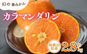 カラマンダリン  約2.8kg/サイズおまかせ　※2026年4月上旬～2026年5月上旬頃に順次発送予定(お届け日指定不可)　紀伊国屋文左衛門本舗　【ntbt471B】