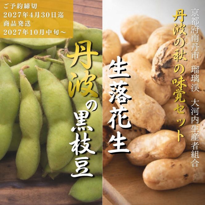 枝豆 京都 2027年 先行予約 黒枝豆 生落花生 るり渓 大河内生産組合発 丹波 野菜 国産 生 落花生 おつまみ えだまめ エダマメ 先行 ※北海道・沖縄・離島への発送不可 