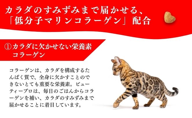 日本ペットフード ビューティープロ キャット 避妊・去勢後用 560g（80g×7袋入）×10袋（ケース） キャットフード