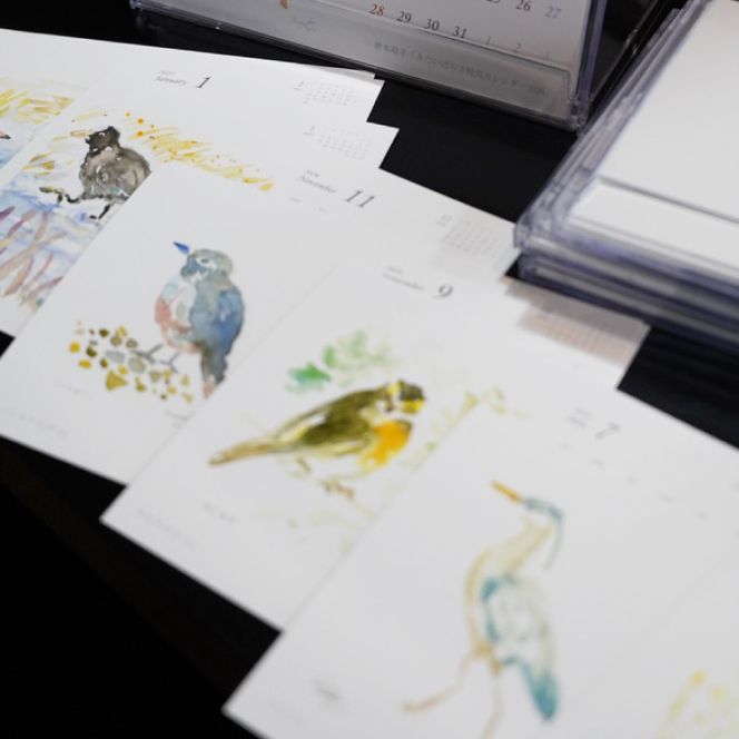 【数量限定】【徳本萌子】きたいばらき 野鳥カレンダー（2026年4月はじまり）【ポストカード 卓上 絵 水彩画 風景画  渡り鳥 自然 インテリア 北茨城市 茨城県】(DK001)
