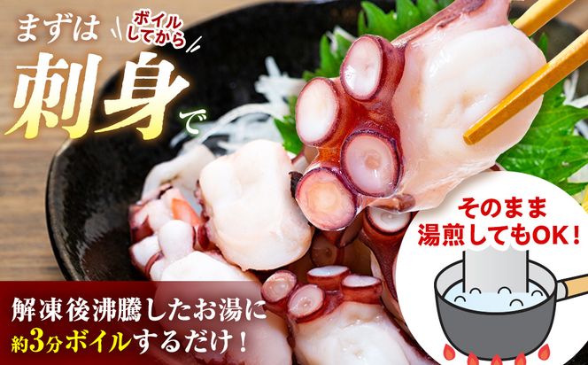 タコ 三昧 ( 120g × 6袋入 ) 冷凍 たこ足 タコ 蛸 小分け 真空パック 海鮮 新鮮 魚介 海の幸 海産物 刺身 国産 シーフードエム・エム 愛知県 南知多町