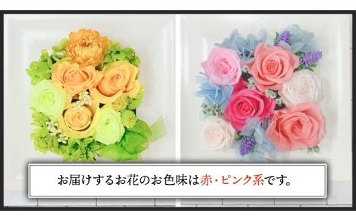 【 母の日 】 赤 ・ ピンク 系 プリザーブド フレーム アレンジ ギフト プレゼント 花 お祝い 贈答 記念日 [CT073ci]