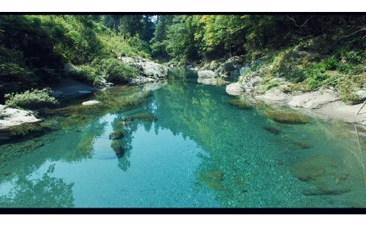 旬の朝採れ土佐野菜詰め合わせ(10～13品目)【土佐市】【株式会社SIMA】 [BQAZ002]