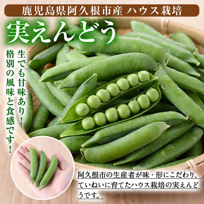 ＜先行予約受付中！2027年1月上旬以降順次発送予定＞期間限定！実えんどう (約1.5kg) 国産 鹿児島県産 ハウス栽培 野菜 旬 豆 マメ まめ エンドウ 豆ごはん ポタージュ 期間限定 数量限定 季節限定 【東新グリーンファーム合同会社】akn062-13