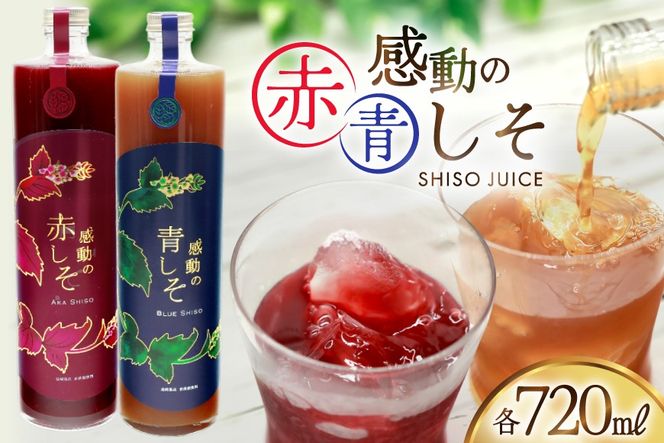 y茧szAJ308 ̐ԂW[X r 720ml ̐W[X r 720ml [ W[X hW[X Ԃ  茧 s ]