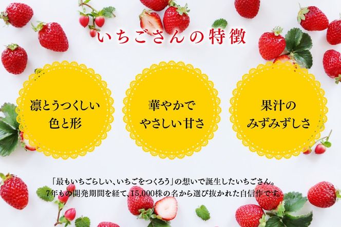 【先行受付 令和9年1月下旬より発送開始】期間限定 特選いちご(いちごさん) 250g×2パック【苺 イチゴ ブランドいちご 朝採れ デザート スイーツ フルーツ 誕生日ケーキ バレンタイン】(H101106)