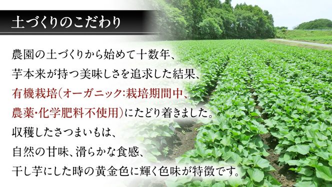 【先行予約】茨城県産 紅はるか 干し芋 平干し 1kg ( 250g × 4袋 ） 干しいも ほし芋 甘い おいしい 美味しい しっとり 紅はるか べにはるか いも イモ スイーツ 和スイーツ お菓子 おやつ おつまみ お取り寄せ 国産 茨城 特産品 [DV007us]