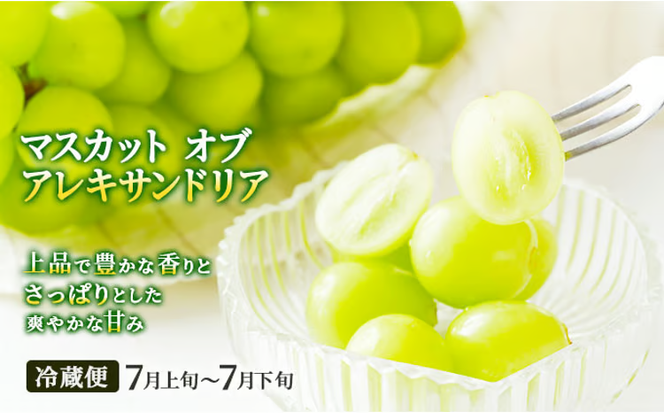 フルーツ 定期便 2026年 先行予約 晴れの国 おかやま 5回コース 桃 もも モモ 葡萄 ぶどう ブドウ 岡山県産 国産 果物 セット ギフト 梨 白桃 シャインマスカット ピオーネ