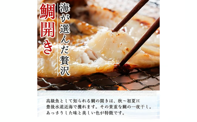 ＜定期便・全4回＞ギフト用品質！九州産 ひもの 季節の 定期便 (総計35枚) 定期 干物 鯛 かます さば サバ あじ アジ 開き 魚 海鮮 冷凍 ひもの 小分け 惣菜 おかず セット ギフト 贈り物 大分県 佐伯市【DH301】【ネクサ】