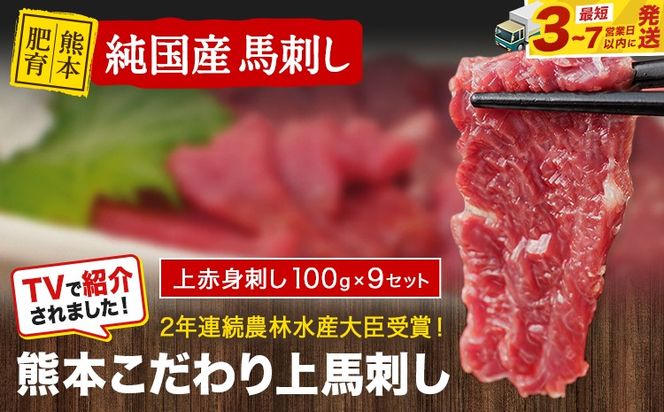 上赤身馬刺し100g×9セット(10ml×9袋)《3-7日以内に出荷予定(土日祝除く)》 熊本県 玉名郡 玉東町 馬刺し 国産 赤身 送料無料 肉 タレ付き 900g 牛肉よりヘルシー---gkt_fkgakm_u_r8_27500_900gt---