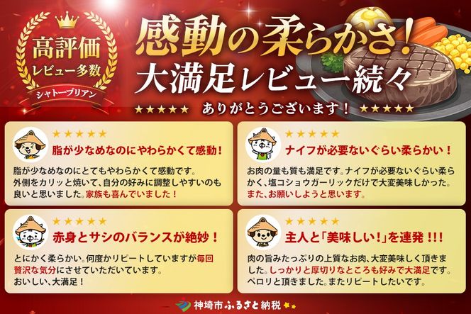 【スピード発送】佐賀牛ヒレシャトーブリアン 200g×10枚 隔月定期便2回【化粧箱入り シャトーブリアン ヒレ肉 厚切りステーキ 黒毛和牛 ブランド牛 国産和牛 ふるさと納税 丸宗ミート 神埼市】(H065228)