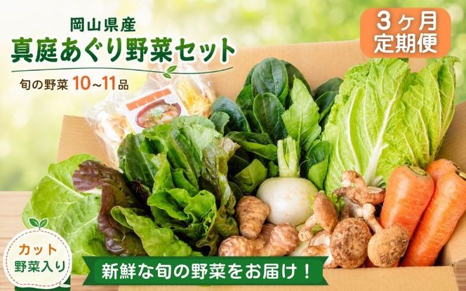 【3カ月定期便】真庭あぐり野菜セット カット野菜が1品入る 10～11品 / 産地直送 農家 お試し 岡山県 新鮮 あぐりガーデン 国産 【配送不可地域：北海道／沖縄県／離島】 【jujy-tkb051】