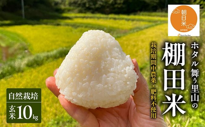 先行受付 自然栽培 農薬不使用 肥料不使用 ホタル舞う里山の棚田米 玄米10kg 令和8年産 朝日2kg×5袋