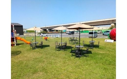 グランベリー大地いちご狩りペア入園券 ※2025年12月上旬～2026年3月下旬頃に順次発送予定